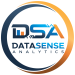 DataSense Analytics